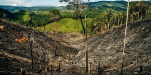 América Latina todavía es la región más peligrosa para defensores ambientales