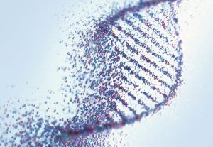 Estudio encuentra la mutación genética que causa la leucemia aguda