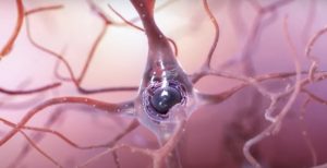 Estudio encuentra el vínculo entre la "huella cerebral" y el Alzheimer