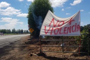 Diputados UDI cuestionaron dichos de la ONU por violencia en la Macrozona Sur