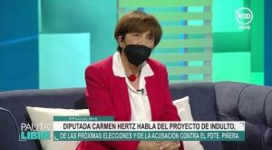 Carmen Hertz en Pauta Libre: "Piñera simboliza el abuso de la elite”
