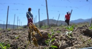 Adaptaclim: Identifican principales riesgos del cambio climático para Región de Coquimbo