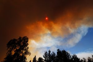 Onemi ordena la evacuación de sector La Esmeralda en Quillón por incendio forestal