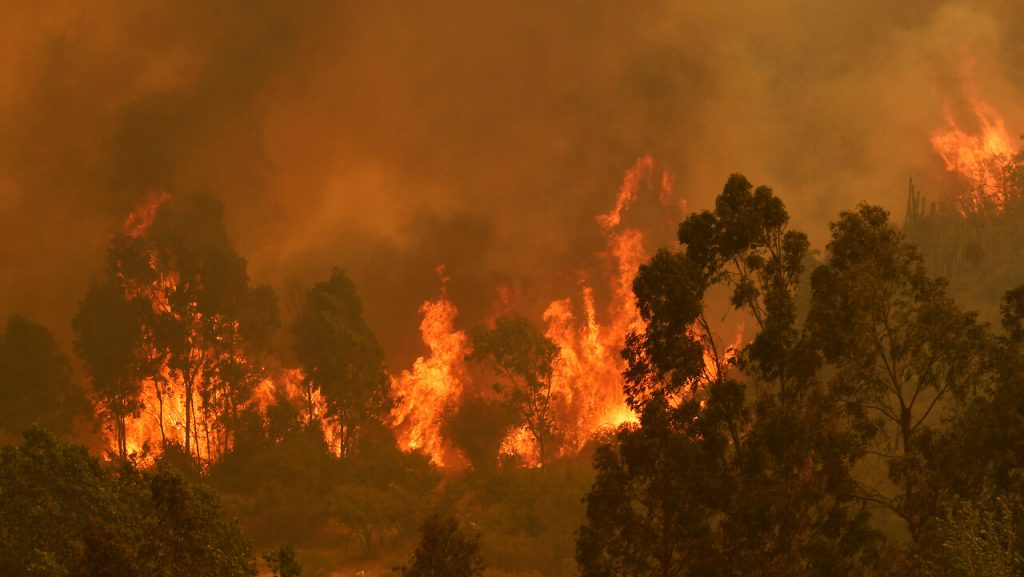 Incendios forestales mantienen en Alerta Roja a varias zonas del país este sábado