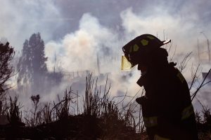 Onemi: Hectáreas destruidas por incendios forestales aumentaron en 300% este 2021