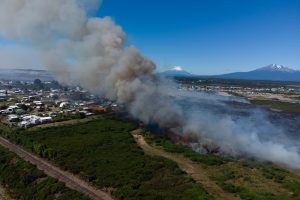 Conaf denuncia presencia de pirómano tras foco de incendio en La Vara, Puerto Montt