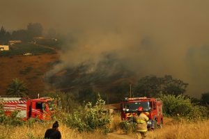 Incendios forestales en Angol y Los Sauces ya han consumido más de 12 mil hectáreas
