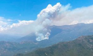 Alerta Roja para San Fernando debido a incendio forestal sin control y cercano a viviendas