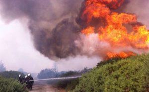 Preocupantes cifras sobre incendios: En 2021 casi se han cuadruplicado las zonas quemadas