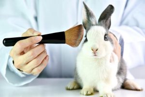 Chile a un paso de poner fin al testeo cosmético en animales