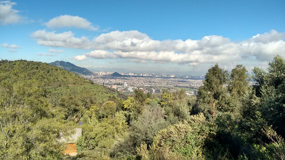 Bosque Santiago: Conoce este maravilloso lugar para visitar en la capital en pleno verano
