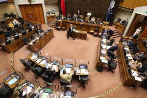 Senado aprueba idea de legislar la creación del Ministerio de Seguridad Pública