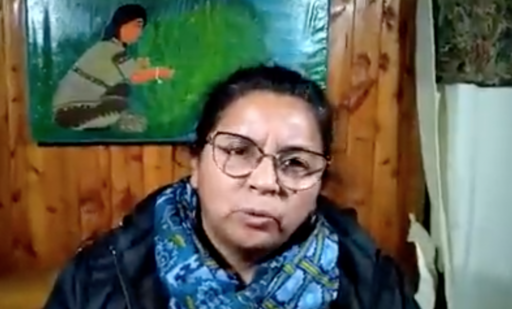 Abogada mapuche y ambientalista denuncia amenaza de muerte por Messenger en Los Lagos