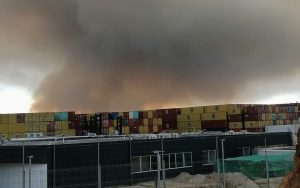 Incendio forestal en Valparaíso: Onemi mantiene Alerta Roja por fuego en Cuesta Balmaceda