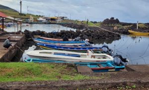 Onemi refuerza recomendaciones a población de Rapa Nui: “Abandonar las zonas de costa”