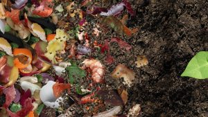 Microplásticos en el compost: un nuevo desafío para la economía circular