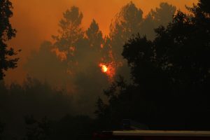 Onemi solicita evacuar sectores de San Isidro y Navidad por incendio forestal