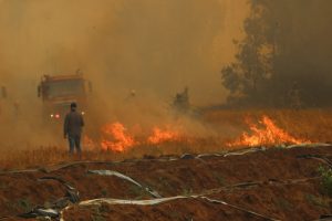 Incendio forestal en San Pedro de La Paz obliga a decretar Alerta Roja para toda la zona
