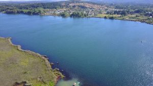 Alerta en Quillón: Cierran Laguna Avendaño y otro balneario por extraña y agresiva alergia