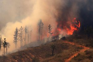 Declaran Alerta Roja para Chillán por incendio forestal