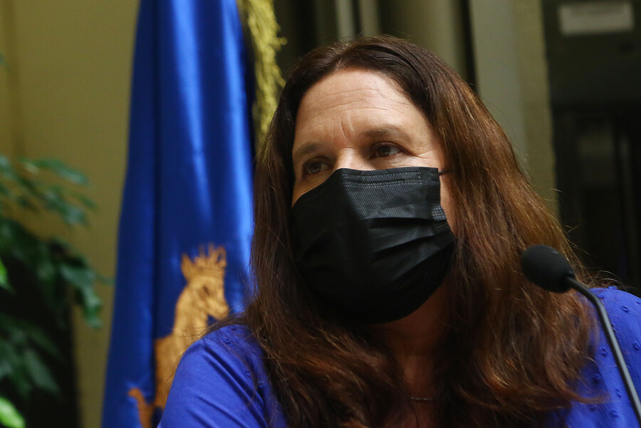 Ministra de Defensa Maya Fernández sufre intento de robo a su domicilio
