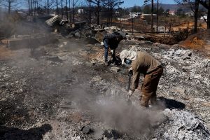 Valparaíso: Continúa Alerta Roja por incendio forestal en Laguna Verde