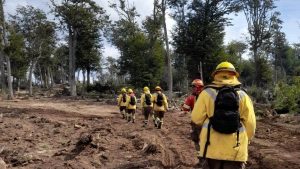 Tierra del Fuego: Conaf da por extinguido incendio forestal en Timaukel