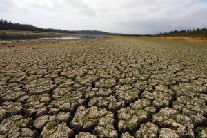 Panamericanos: Curauma dejaría de ser sede de remo y canotaje por sequía