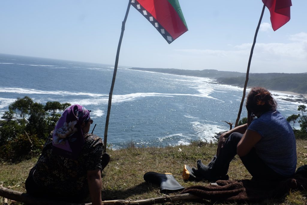 La histórica recuperación mapuche del fundo Punta Galera: «No nos engañan más»