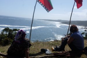 La histórica recuperación mapuche del fundo Punta Galera: "No nos engañan más"