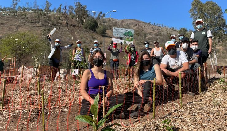 «DeVolver a la Tierra»: desarrollan bosques comestibles en espacios públicos para combatir el cambio climático