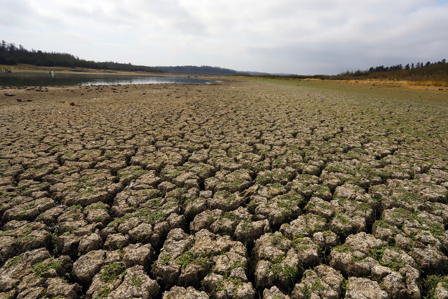 Codelco construirá gran desalinizadora en norte de Chile para combatir sequía