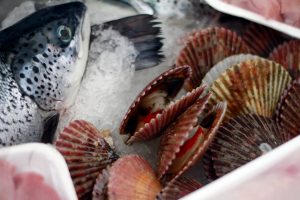 Semana Santa: Estas son las recomendaciones para consumir pescados y mariscos