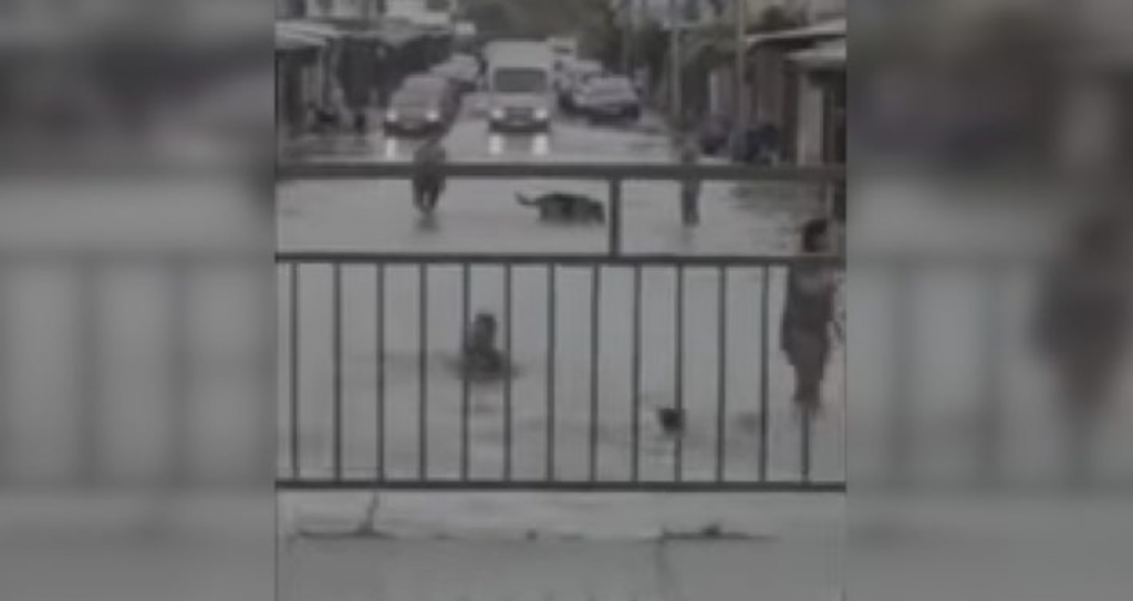 Indignación por video que capta a niños bañándose en calle inundada por lluvias en Talca