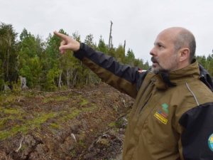 CONAF: “Las parcelaciones producen un grave daño por la sustitución del bosque nativo”