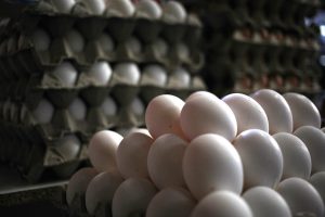 SAG incauta 72 mil huevos de gallina ingresados clandestinamente al país en Alto Hospicio
