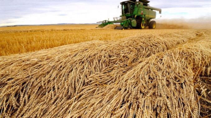 Estados Unidos apoya a la ONU para buscar que el cereal ucraniano vuelva al mercado
