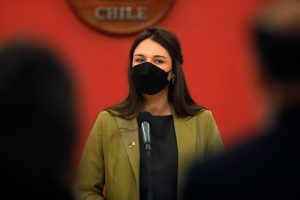Gabinete Irina Karamanos: Gobierno lo borra de la página oficial tras ola de críticas