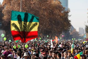 Despenalización del consumo de marihuana: Así es el proyecto presentado en el Congreso