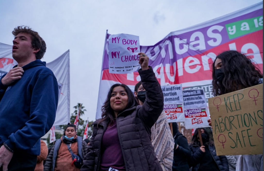Fallo contra aborto en EE.UU.: Orellana, Cariola y Hassler firman declaración internacional