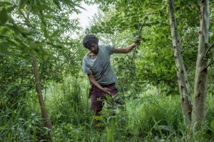 Huelemu: El proyecto que transformó un campo de cultivos degradado en un bosque