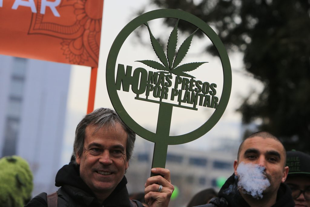 «Cultiva tus derechos»: Masiva marcha en favor del cannabis se efectuó en la Alameda