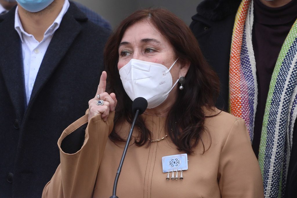 Ministra Yarza dice que Chile está «en alerta» tras confirmarse 39 casos de viruela del mono
