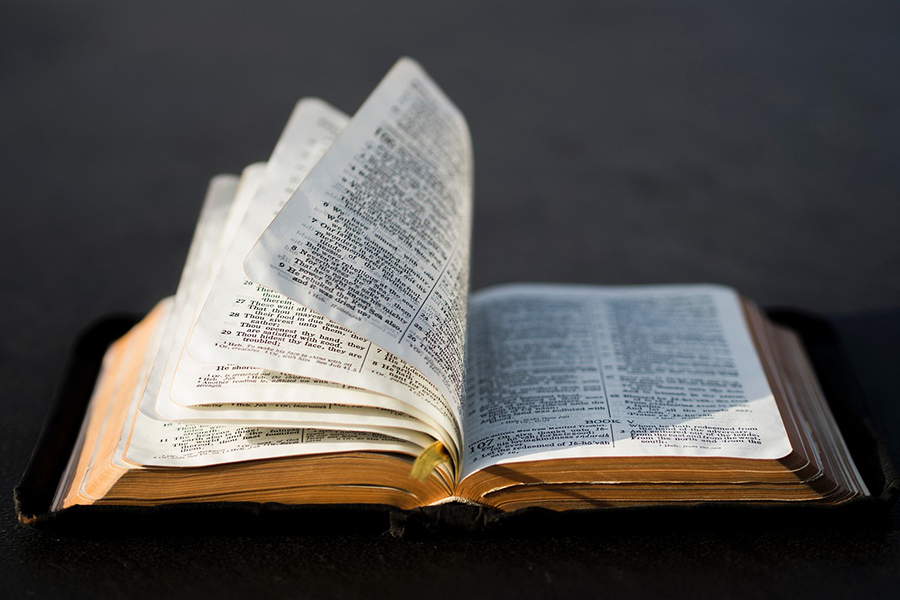 Apruebo Evangélico: Sus razones para respaldar la nueva Constitución