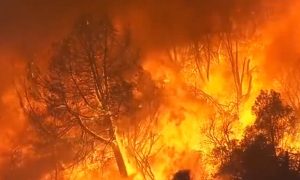 Incendio forestal no le da tregua a California: Fuego consume 6.800 hectáreas