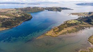 Chiloé: Declaran tres humedales costeros como nuevos Santuarios de la Naturaleza