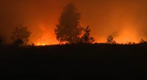 Los incendios golpean el sur de Europa en medio de una ola de calor extrema