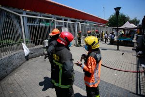 Persona ciega fallece tras caer a la vía de la Línea 2 del Metro de Santiago
