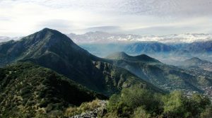 VIDEO | Estrenan documental "Cordón del Cerro Manquehue, paraíso que sobrevive"