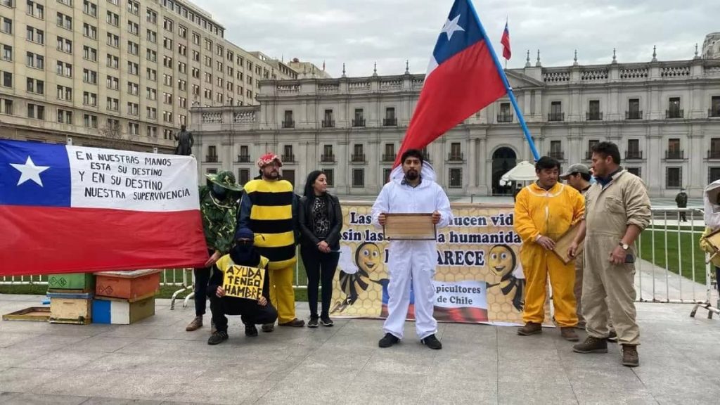 «Se están muriendo las abejas»: Apicultores protestan en Santiago y piden ayuda al Gobierno